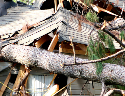 Hurricane Roof Damage Claims in Florida: What Insurers Look for During Inspection