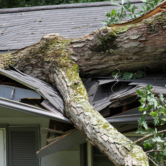 Hurricane Roof Damage Claims in Florida